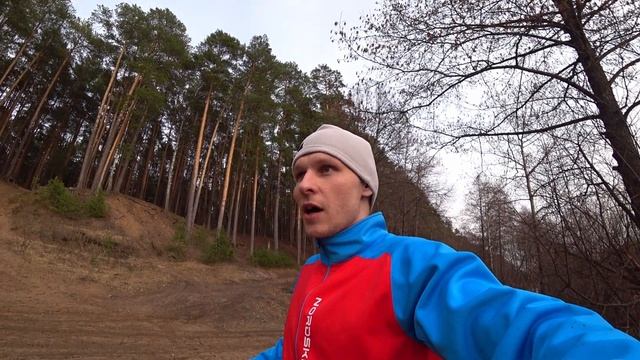 Снаряжение для хаски | Как увеличить скорость собаки #husky #short #ездовойспорт #хаски #тренировки