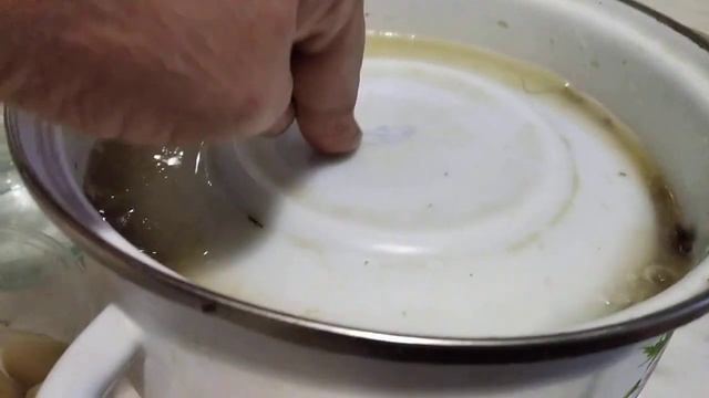 Волнушки соленые горячим способом. смотреть онлайн