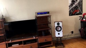Mission 770 - Vintage Speaker Review