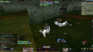 ArcheAge 9.5. Телохранитель - оборона\преследование\стрельба пвп