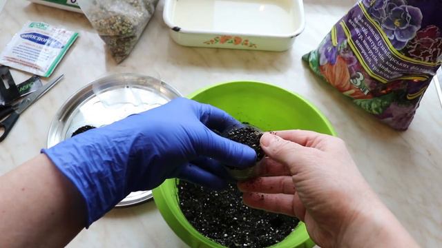 Вирощування еустоми. 1.Посів смотреть онлайн