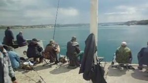 Кефаль в Севастополе