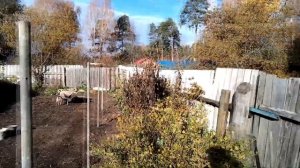 КАК ИЗБЕЖАТЬ ШТРАФА ЗА САМОВОЛЬНЫЙ ЗАХВАТ ЗЕМЛИ