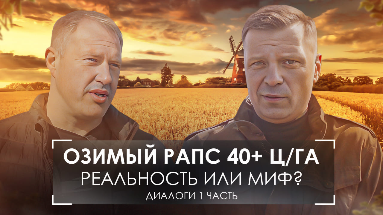 Как вырастить озимый рапс? Принципы и технологи, лайфхаки и секреты из Брянской области. #диалоги №8