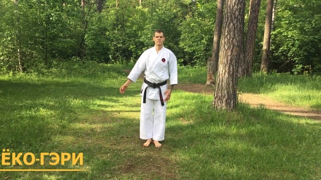 Атака ногами в движении. Годзю-рю каратэ. Аттестационная программа. смотреть онлайн