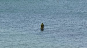 Nikon Coolpix B600 Review - Not the superzoom camera you'd expect