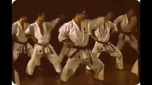 Карате Шотокан/ Ката/ Heian Sandan (Shotokan)