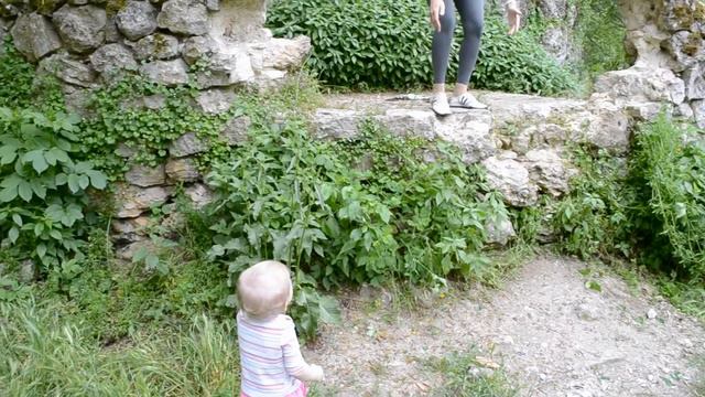 макс дача 29 мая2011 смотреть онлайн