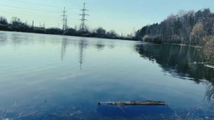 ЛЕС ЖАРЫ КУЗЬМИНКИ 2021