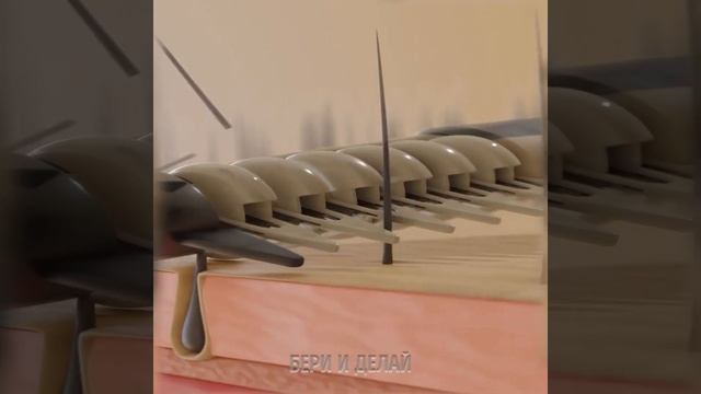 ЛУЧШИЕ ГАДЖЕТЫ И ЛАЙФХАКИ ДЛЯ КУХНИ, ЧТОБЫ ГОТОВИТЬ КАК НАСТОЯЩИЙ ПРОФИ смотреть онлайн