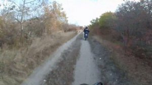 Regulmoto TE 300