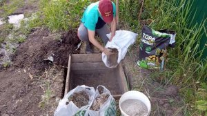 Как правильно посадить голубику и получить урожай до 8 кг и более!!!