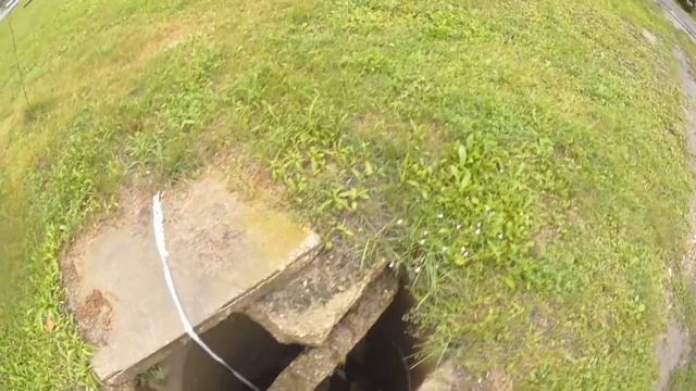 Если Новиков не видит, значит надо показать смотреть онлайн