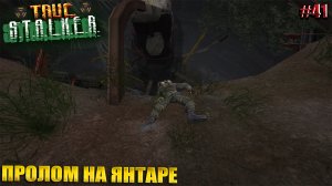 ПРОЛОМ НА ЯНТАРЕ | TRUE STALKER  | Серия 41