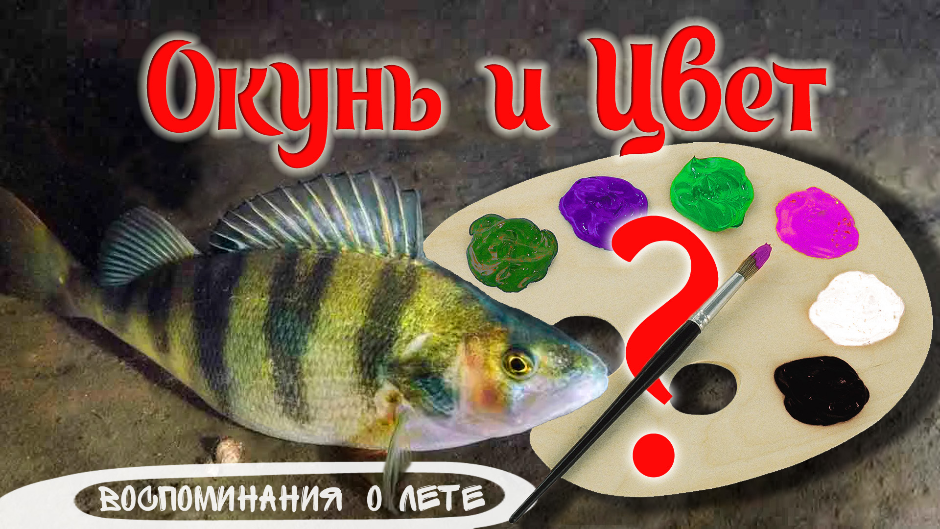 Окунь и цвет. Предпочтения окуня в цветах силиконовых приманок при ловле на спиннинг летом в жару.