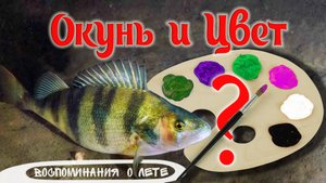 Окунь и цвет. Предпочтения окуня в цветах силиконовых приманок при ловле на спиннинг летом в жару.