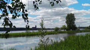 Красота родного края. Прогулка по летнему лесу