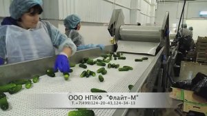 Линия мойки и инспекции овощей (огурцы)