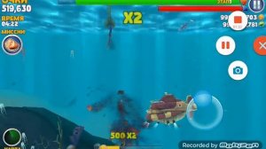 Человек съел акулу!