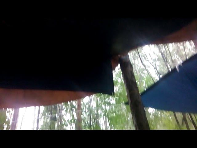 Два друга укрылись от дождя смотреть онлайн