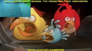 Sparta Remix | Remake | The Angry Birds Got Captured!! Sparta Madhouse SFP Remix