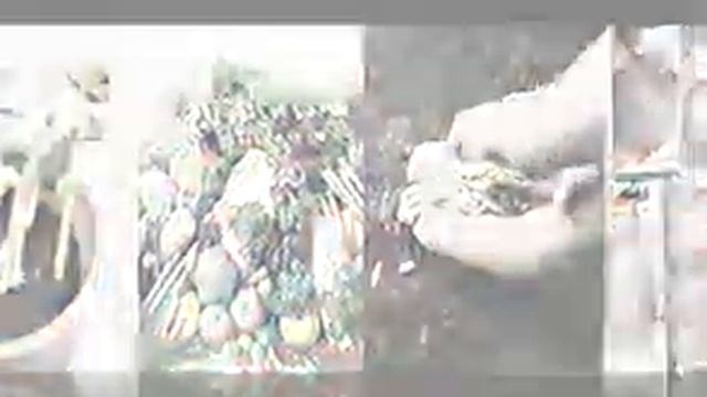 семена овощей для северо запада смотреть онлайн