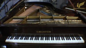 Bechstein Grand Piano - Model D at Sherwood Phoenix Pianos