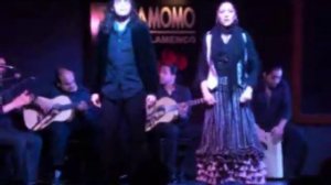 Madrid Flamenco at Cardamomo