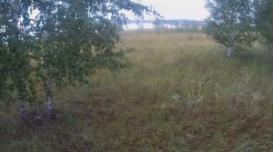 Охота с подхода на утку 2021. Подкрался незамеченным. франки аффинити ван / Franchi affinity one