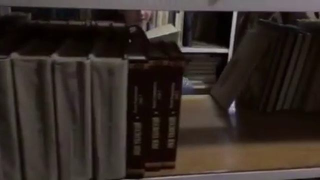 "101 долматинець" надихнули волонтерку БУРу Іванку)) смотреть онлайн