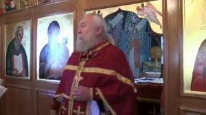 Запретная проповедь. Андрей Алёшин