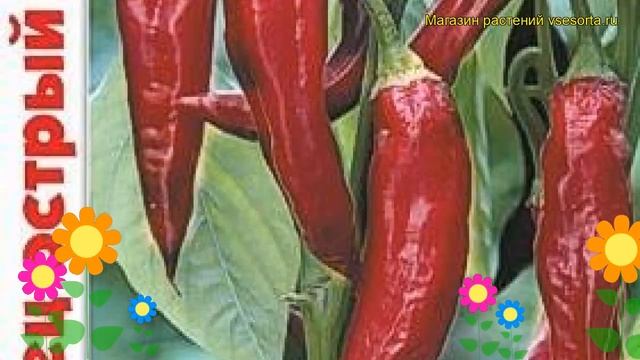 Перец острый Анахайм. Краткий обзор, описание характеристик capsicum annuum Anahajm смотреть онлайн