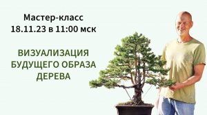 Мастер-класс по визуализации будущего образа дерева