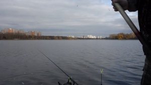 Рыбалка. Плотва на поплавок осенью на пруду