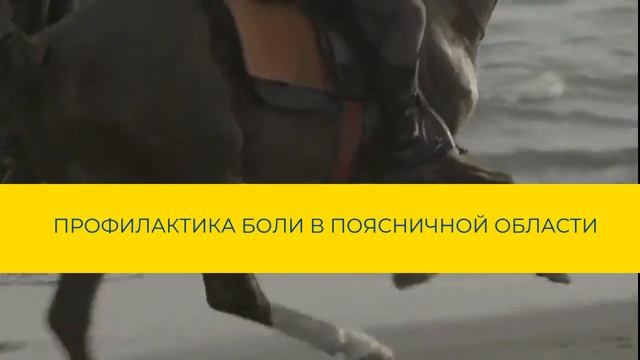 Хит продаж: Сиденье-тренажёр "Спина ОК" смотреть онлайн