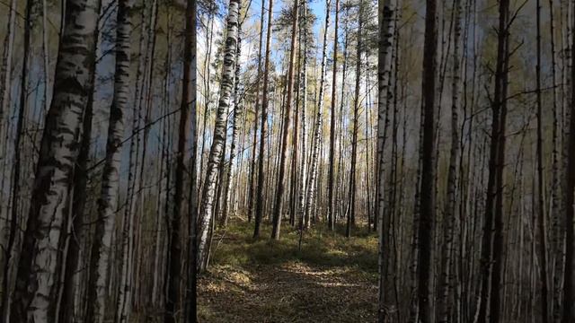 1 мая Заказник Орловский парк. 2023 г.