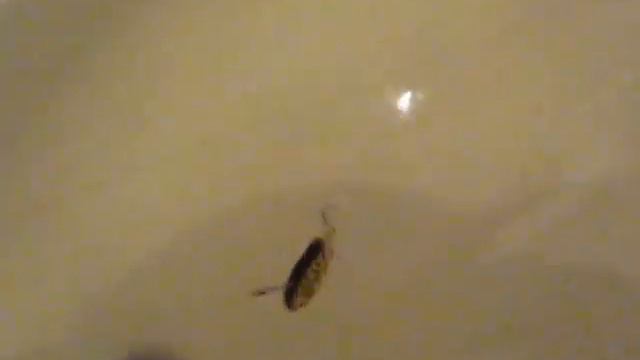 Самоделка смотреть онлайн