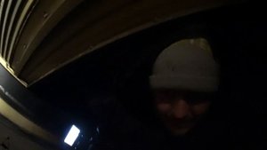 Уборка кукурузы в мороз. Что нужно знать?