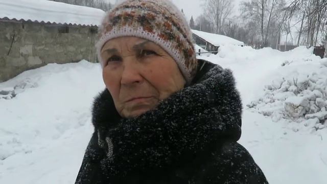 Пункт передержки собак в Куртуково Февраль 2021 г смотреть онлайн