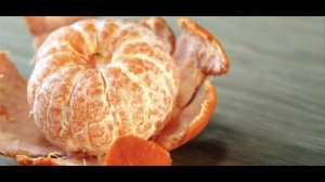 $17 "Градусная сетка", География 5-6 классы, Полярная звезда