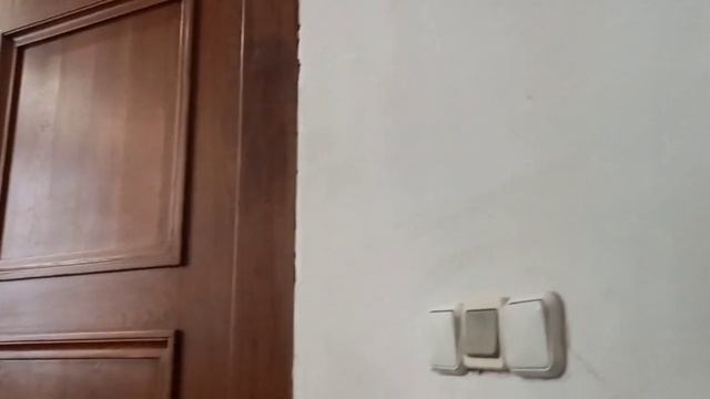 Экскурсия Петрикирхе.