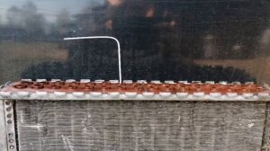 Греется двиготель в ауди 100 С3 кузове