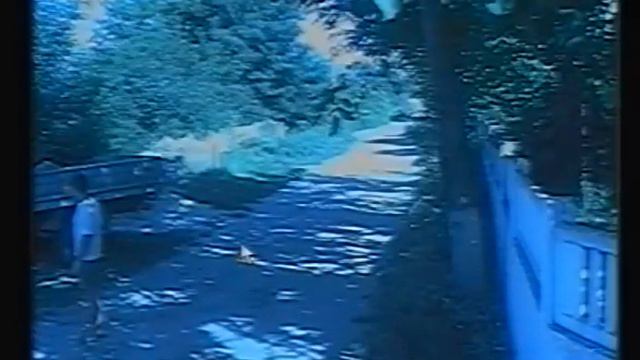 Таромское сосед итак каждый день кто выдает лицензии таким людям