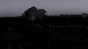 Куропатки в ночном поле (наблюдение с тепловизора iray saim sct 35 v2)