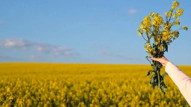 Самая красивая мелодия в мире! Эту музыку можно слушать вечно! Отличная музыка Сергей Грищук смотреть онлайн
