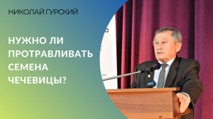 Нужно ли протравливать семена чечевицы?  |  Мнение селекционера Николая Гурского