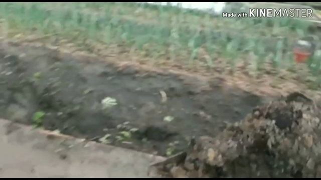 Погоню вперед (коня) смотреть онлайн