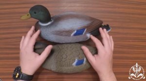 Обзор утиных чучел {мастера Евгения Глухих}