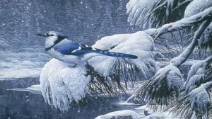 ПЕСНЯ-*ПТИЦА СИНЯЯ*