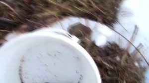 Яблоки часть 3. apple. Как Правильно Сохранить Яблоки в Домашних Условиях на Зиму.